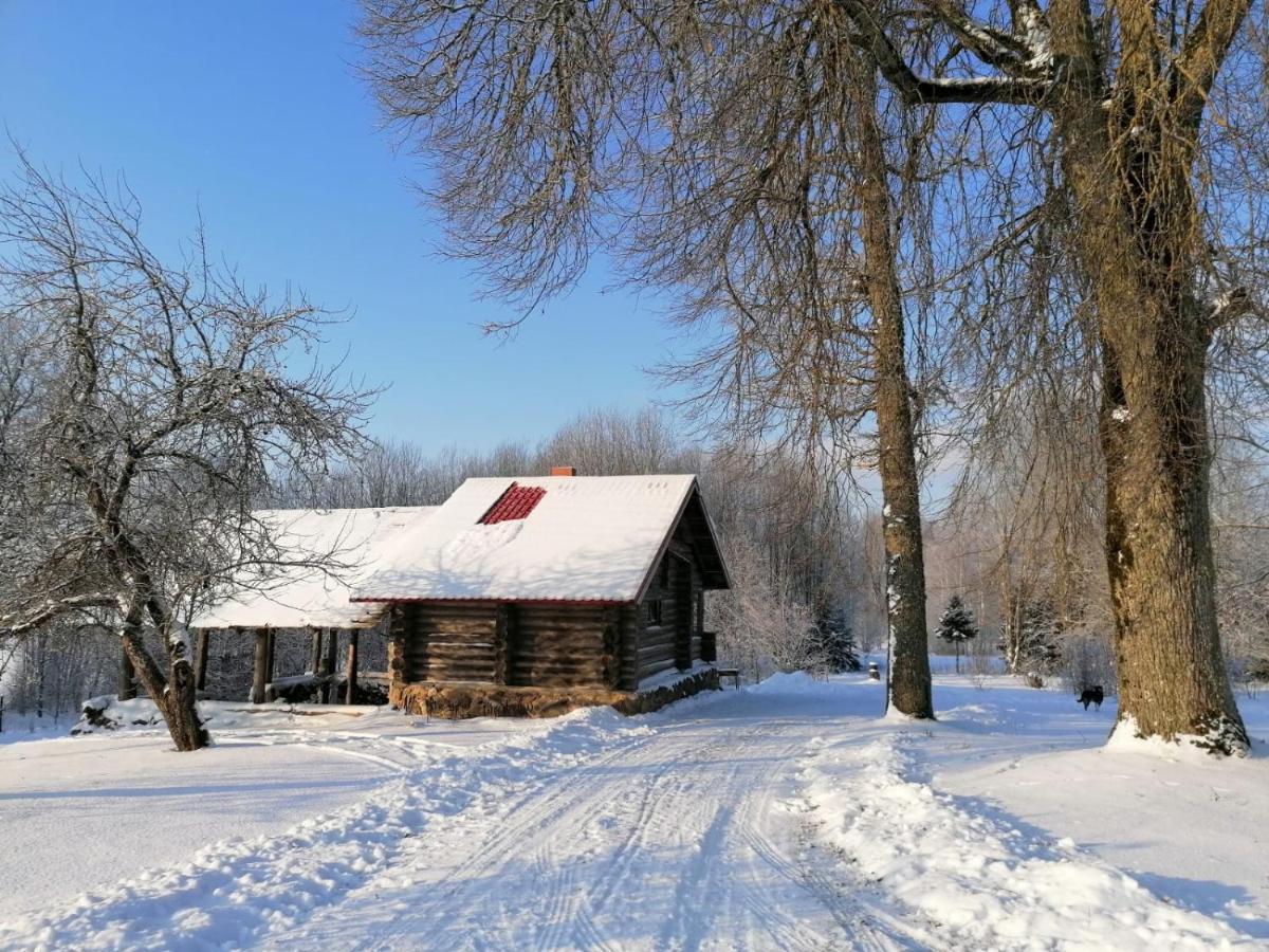 Country House Podini Apartment Malpils Exterior photo